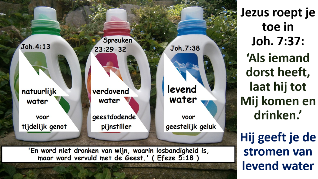 dorst 13c