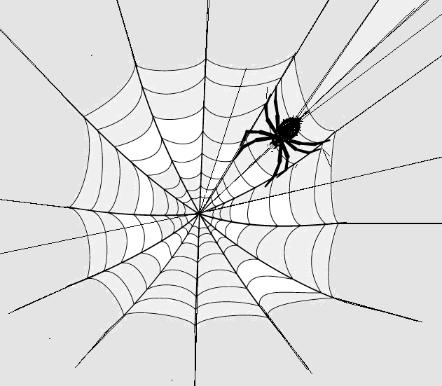 Hoe veilig is een spin in het eigen gemaakte web?