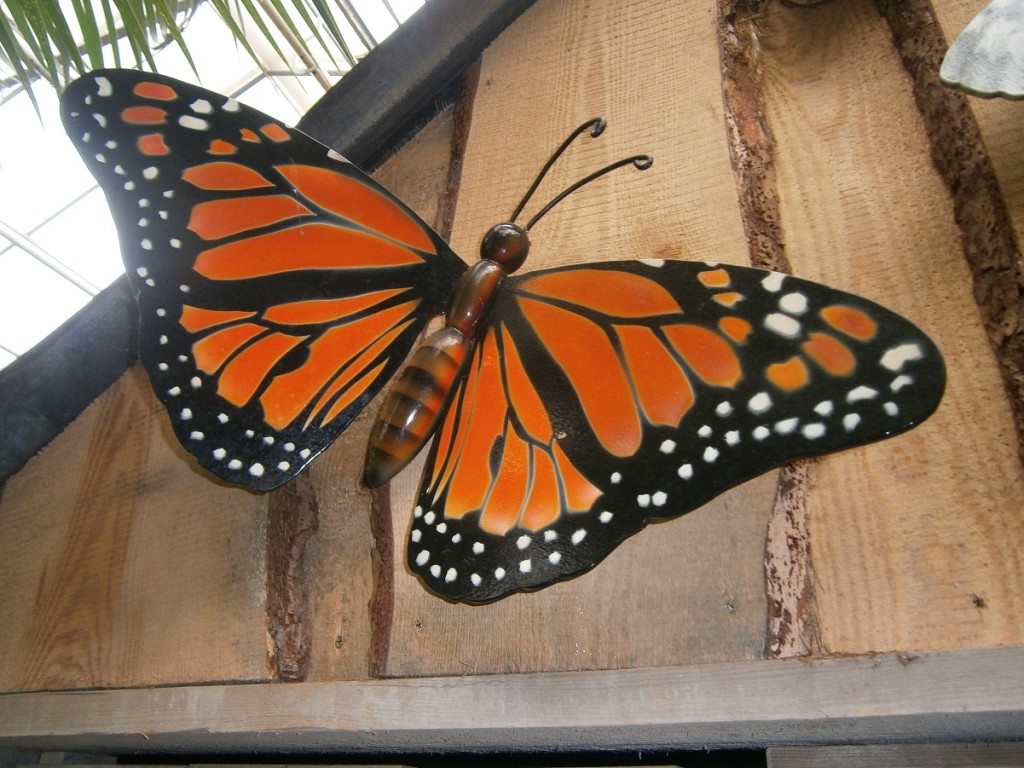 Hoe heeft een rups zich tot een imago van een prachtige vlinder kunnen ontwikkelen? Hebben wij ons als gelovige ook zo kunnen ontpoppen, met een herkenbaar volwassen imago?