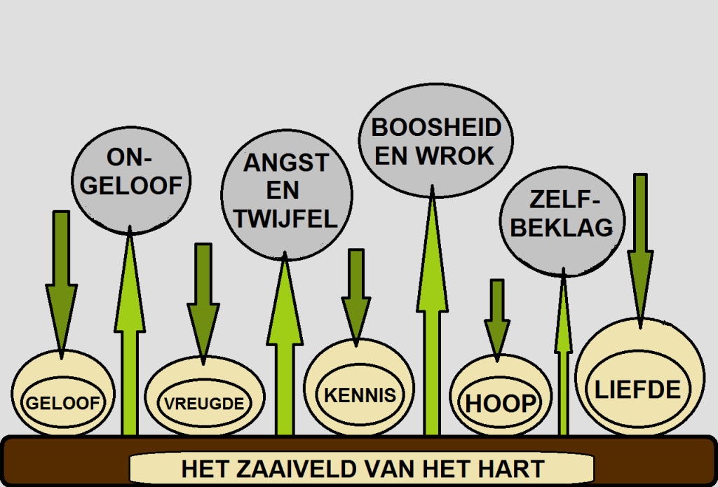 Negatieve planten groeien op de bodem van het hart