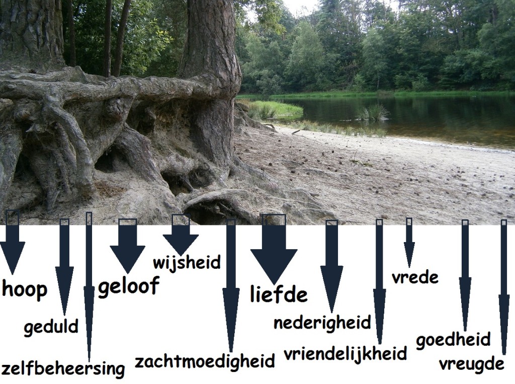 Welke positieve wortels hebben je geestelijk leven gevoed en je gezond doen opgroeien in het geloof.