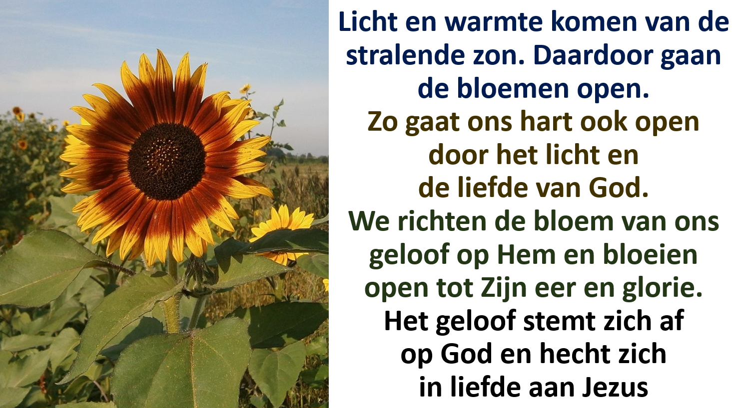 11 Geestelijk Herstel Door Liefdevolle Relaties